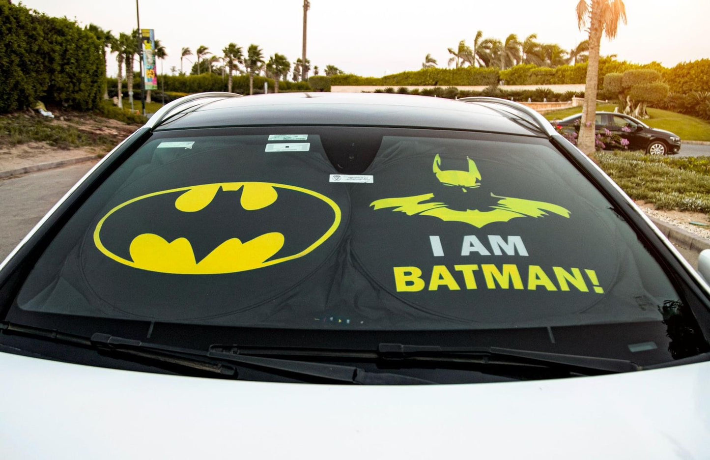 Batman Sunshade