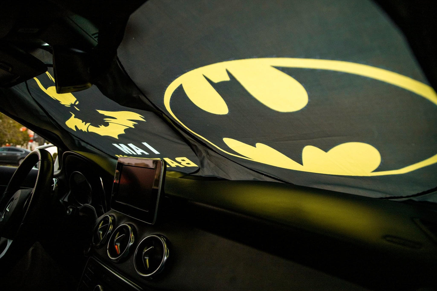 Batman Sunshade