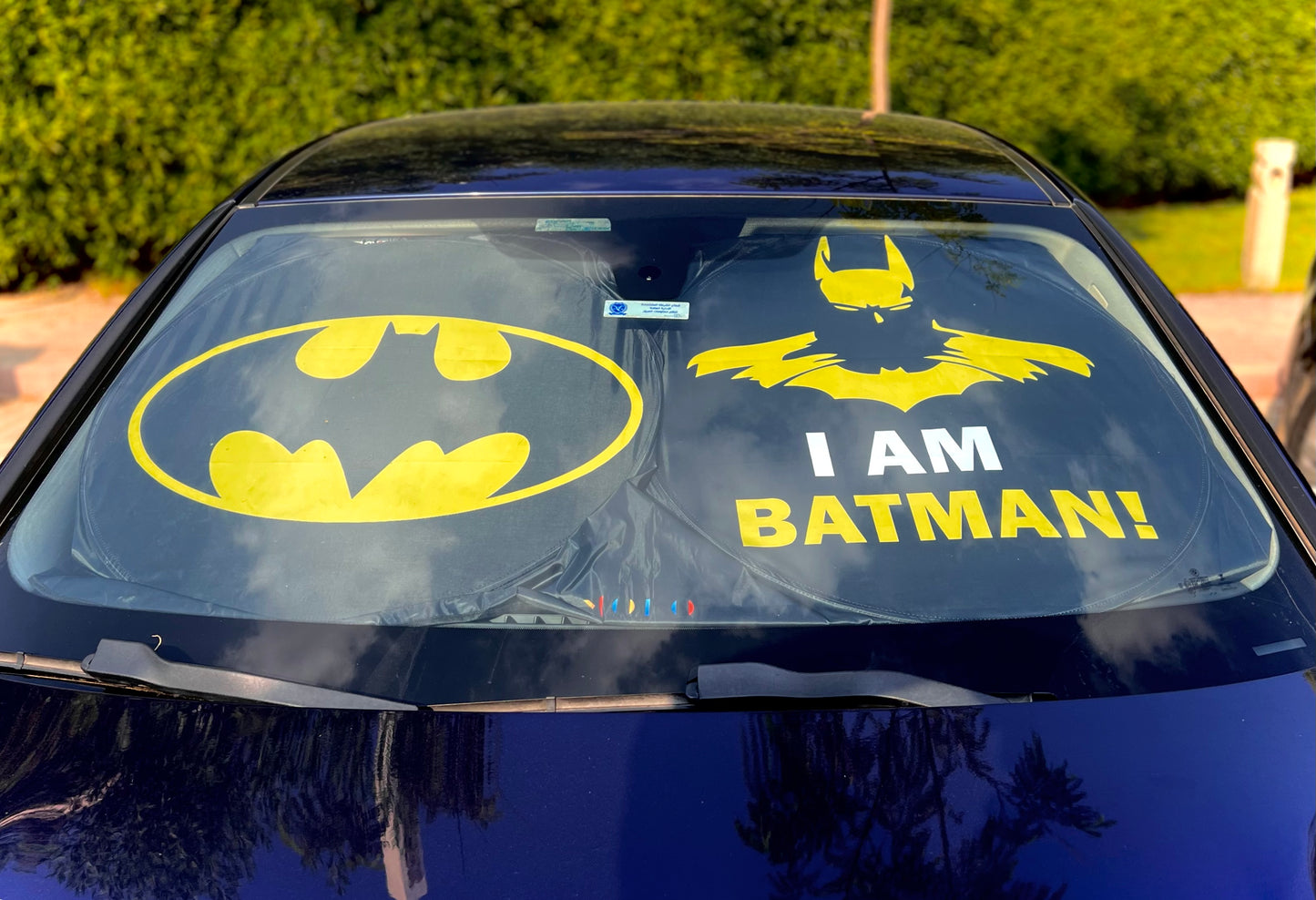 Batman Sunshade